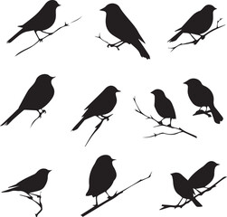 Black silhouette Sparrow Birds sitting on branches 
