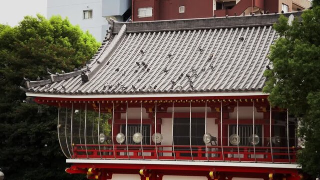 A Bunch of Pigeons Gathered on the Roof of Osu Kannon Temple in Downtown Nagoya