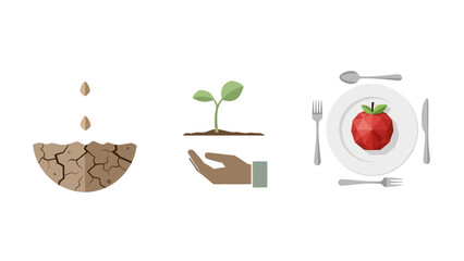 Illustrating the sustainable food life cycle from initial seeds to a fresh apple meal