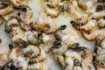 Raw shrimp displayed on crushed ice. Fresh seafood ready for cooking. Chilled shellfish in fish market. Seafood texture background closeup. Fresh prawns dietary protein source.