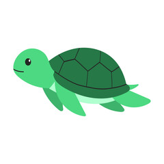 Illustration of a Green Sea Turtle