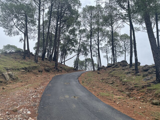 a beautiful road photo click by still