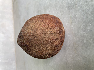 a beautiful tribe cocunet photo click by still