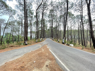 a beautiful two side road photo click by still