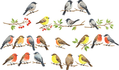 birds illustration, cartoon bird artwork, perched on branches, nature drawing, wildlife