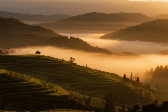 Sunrise over terraced rice fields with misty mountains in the background - Powered by Adobe