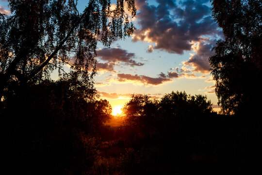 Brilliant summer sunset radiating golden light through dark tree silhouettes framing a vibrant, cloudy sky