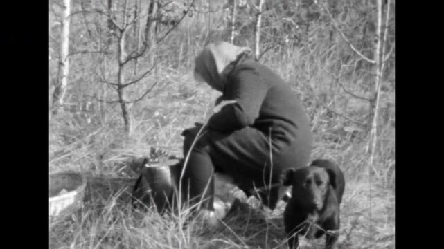 Woman with pet dog is picking mushrooms in autumn forest. Leisure time in nature. Senior woman during weekend. Surrounded by trees and grass. Old film. Archival retro 1960s. Vintage archive.