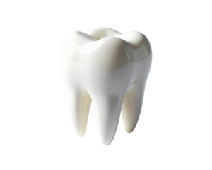 single white tooth isolated on white background.AI GENERATED 