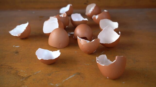 eggshells after being cleaned to be used as organic fertilizer