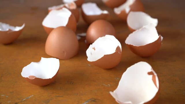 eggshells after being cleaned to be used as organic fertilizer