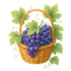 grapes in basket