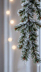 Frosted pine branch hanging with soft lights in winter setting  