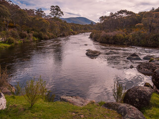Fototapeta premium Afternoon Scene Along the Thredbo River