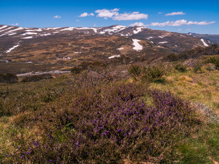 Scenic View Mountains Kosciuszko National