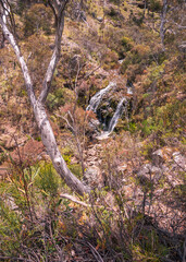 Woodland Waterfall Vertical