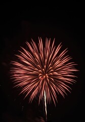 Fototapeta premium A brilliant and vibrant burst of colorful light from a firework explosion illuminating the dark night sky during a festive celebration event ,independence ,colorful ,event