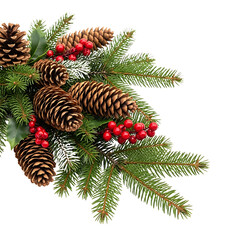 Christmas Evergreen Branches with Pine Cones and Red Berries Isolated on Black