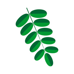 Obraz premium Simple Green Compound Leaf Flat Design Graphic | Modern Botanical Illustration Single Branch Gray Background | Fresh Spring Nature Element Stylized Vector Artwork