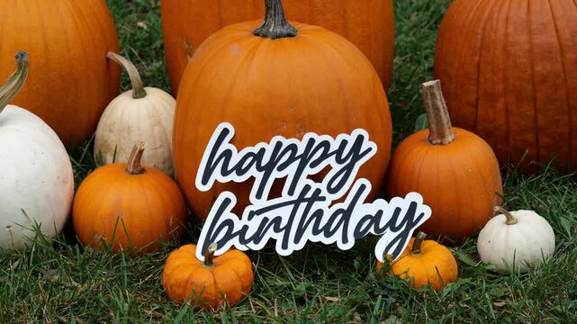 Person sets down the words Happy Birthday on Pumpkins at a Pumpkin Patch in the Fall 4k Video Stock Footage