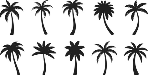 Palm tree silhouette vector set, tropical island plants for summer landscape design, beach nature elements for outdoor scenes, cad drawing flat vector illustration