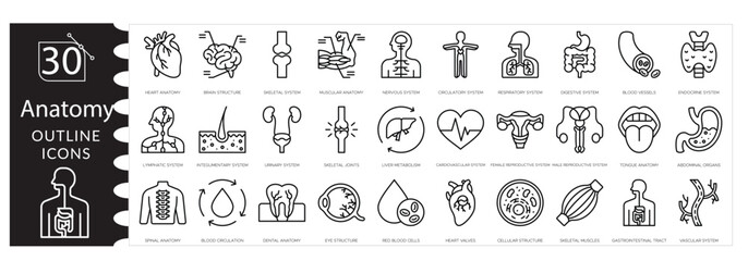 Medical Anatomy Vector Icon Set. Human Body, Organs, and Healthcare Symbols. Health, Medicine Line Icons .Diagnosis, Treatment, Clinic, and Hospital Elements, Human Anatomy Illustration Pack.