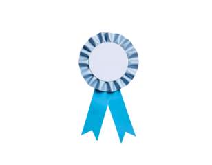 Light Blue Rosette Award Ribbon with Blank Center