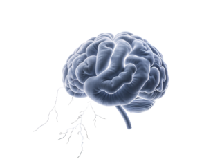 3D Rendered Human Brain with Glowing Effect