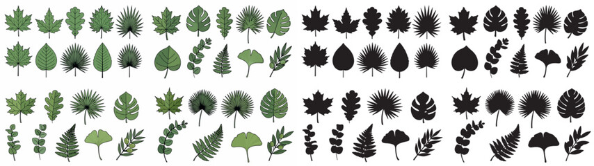 Leaf collection with transparent background