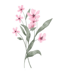 Fototapeta premium Watercolor flowers decor for stationary, greetings, etc. Bouquet, floral decoration. Hand drawing.