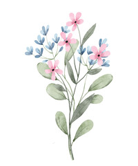 Watercolor flowers decor for stationary, greetings, etc. Bouquet, floral decoration. Hand drawing. © Larisa