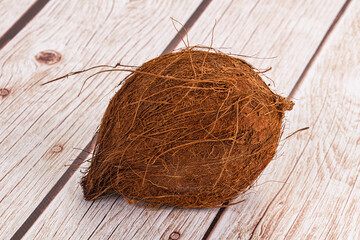 Tropical exotic brown haired coconut