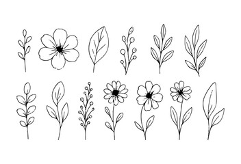 Hand Drawn Floral Line Art Collection Vector Illustration