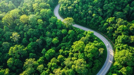 Aerial view of a winding asphalt road cutting through a vibrant green tropical forest with a white car