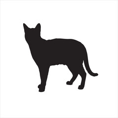 Black Cat Silhouette Vector.