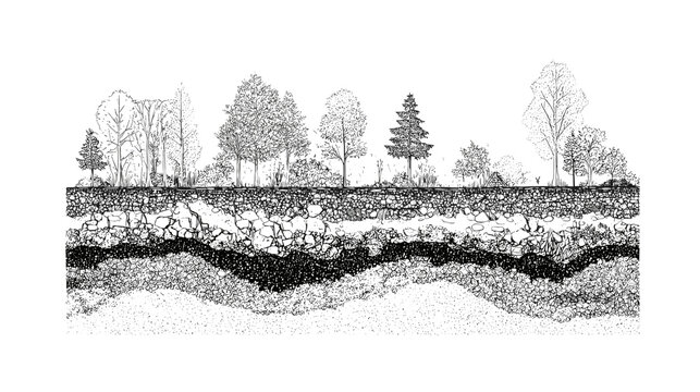 Black and white line drawing of a cross section view trough different types of soil layers in the ground for cad architecture