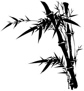 Fine detailed bamboo foliage and stems drawn in sharp monochrome contrast, presenting a dynamic textured structure inspired by handcrafted Asian brush calligraphy