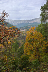 Fototapeta premium Autumn Landscape with Panoramic View of a Mountain Valley and Village Nestled Among the Woods