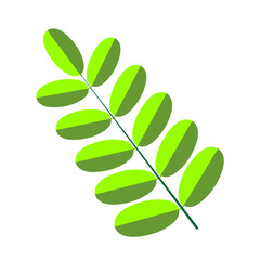 Obraz premium Simple Green Compound Leaf Flat Design Graphic | Modern Botanical Illustration Single Branch Gray Background | Fresh Spring Nature Element Stylized Vector Artwork