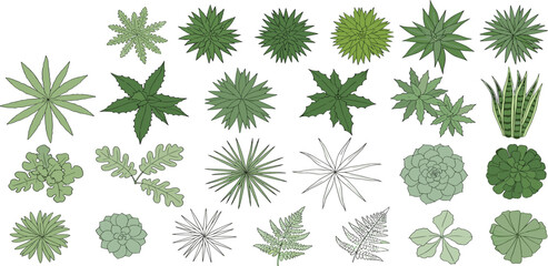 Aerial view of various green plants and trees, top-down perspective collection