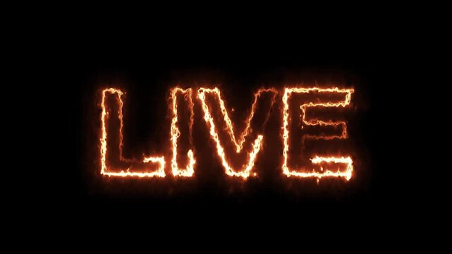 Live Neon Text Animation Video. Neon Live Text Animation on Alpha channel. 4k animation on black background 