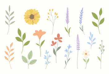 Delicate Wildflower Botanical Clipart Set in Soft Pastel Colors