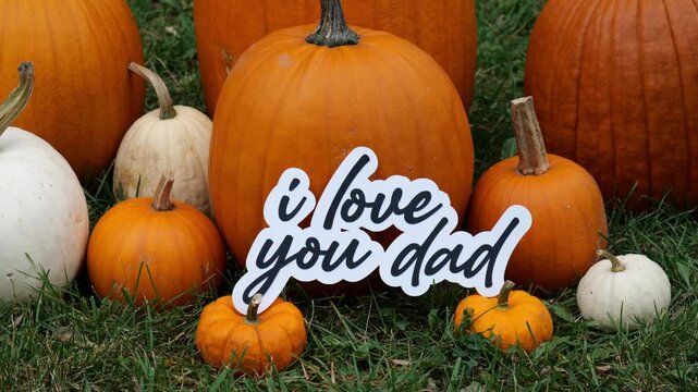 Person sets down the words I Love You Dad on Pumpkins at a Pumpkin Patch in the Fall 4k Video Stock Footage