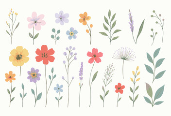 Pastel Wildflower Botanical Clipart Collection with Simple Floral Elements