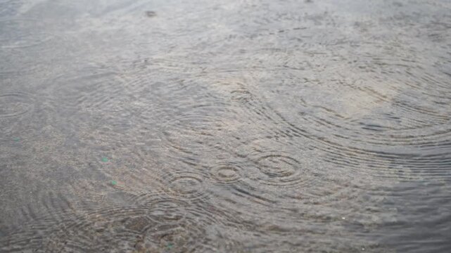 Raindrops make waves like the ocean tide.