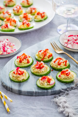 Healthy party snack with cucumber and tuna spread, garnished with radish