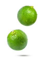 lime on white background