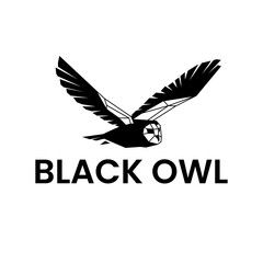 Modern Geometric Owl Technology Logo Design