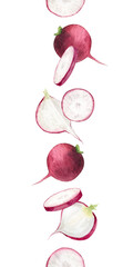Fresh pink radish whole roots, sliced and cross sections. Isolated hand drawn watercolor botanical seamless border of garden vegetables. Banner for healthy food packaging design, menu, recipe, textile