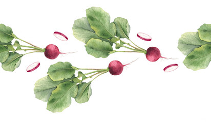 Red radish round with whole and cross section slices roots, tops. Isolated hand drawn watercolor botanical seamless border of garden vegetables for healthy food packaging design, menu, recipe, textile